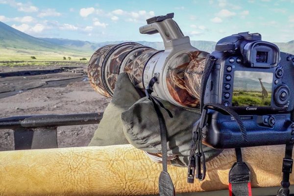Photographic Safari in Tanzania