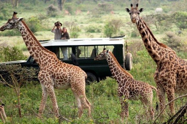 Photographic Safaris in Rwanda Photographic Safaris in Rwanda