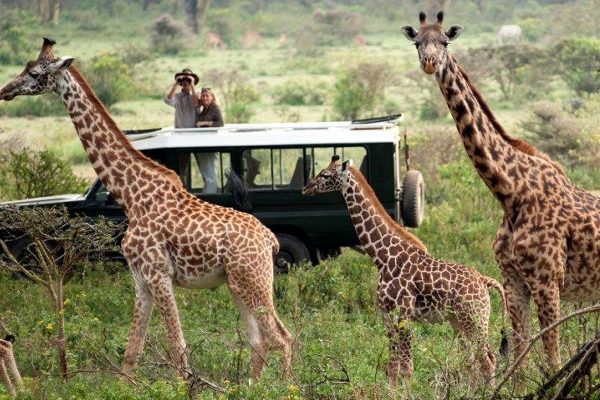 Photographic Safaris in Rwanda