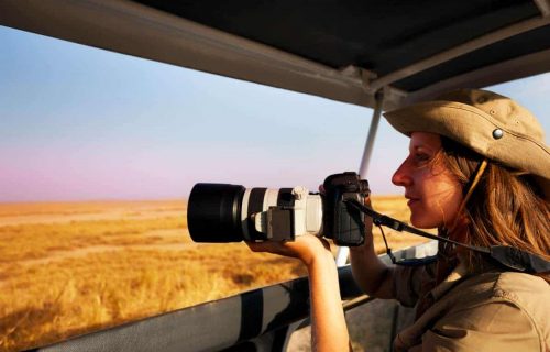 Photographic tours in Tanzania