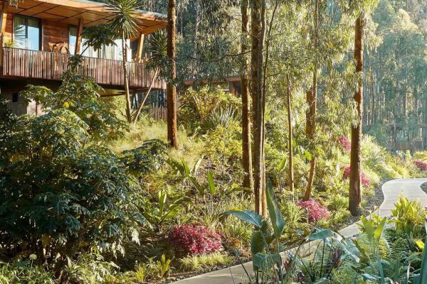 Rwanda Honeymoon Vacations