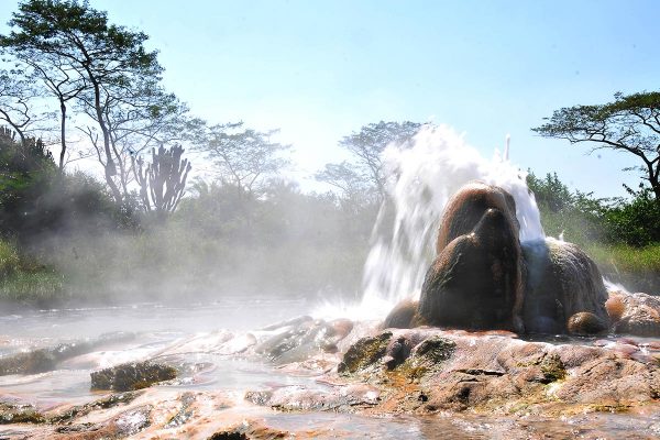 Semuliki National Park Uganda