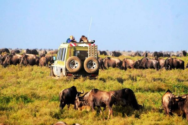 Tarangire Camping Tour