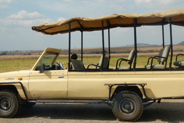 Game Drive in Kidepo Valley National Park Game Drive in Kidepo Valley National Park