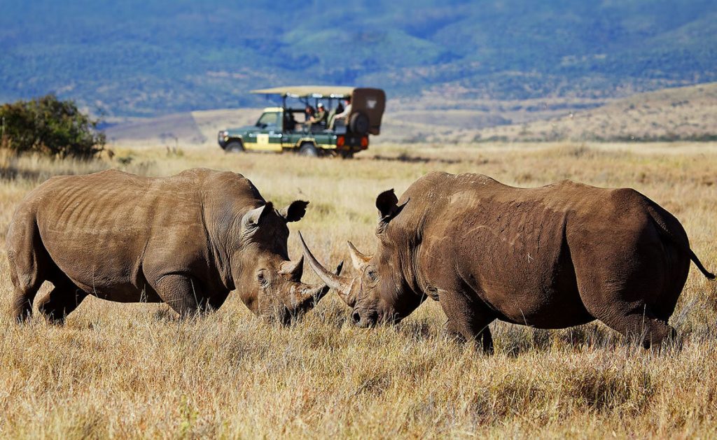 List of National Parks in Kenya and Game Reserves