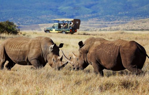 List of National Parks in Kenya and Game Reserves