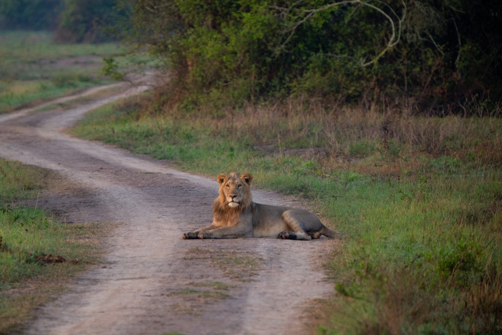 Happy New Month from Akagera National Park!