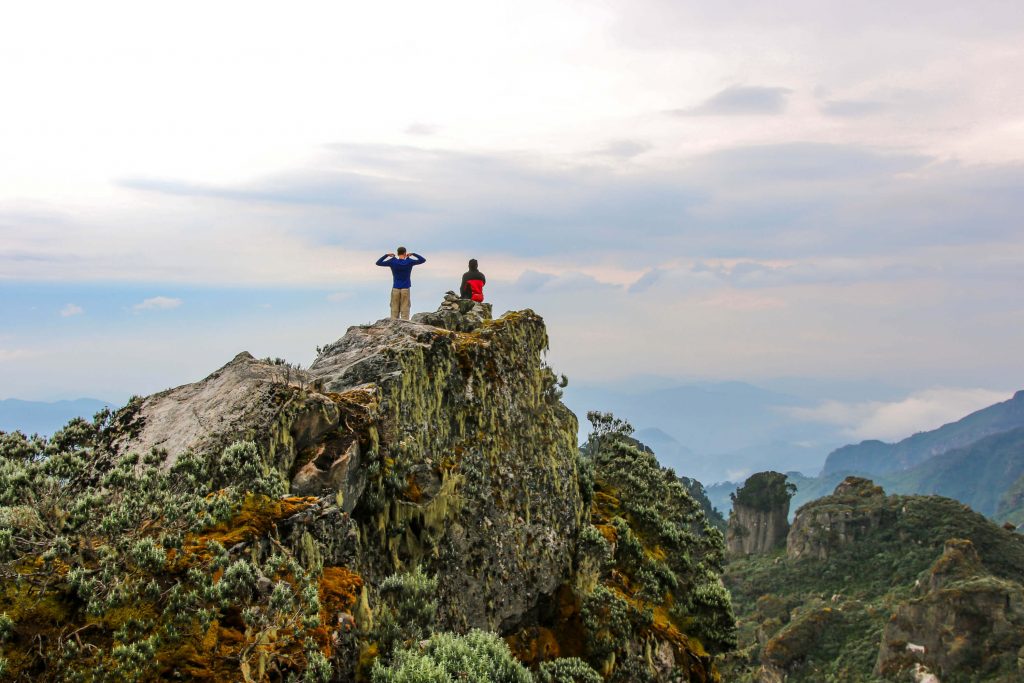 Rwenzori Mountains Trekking