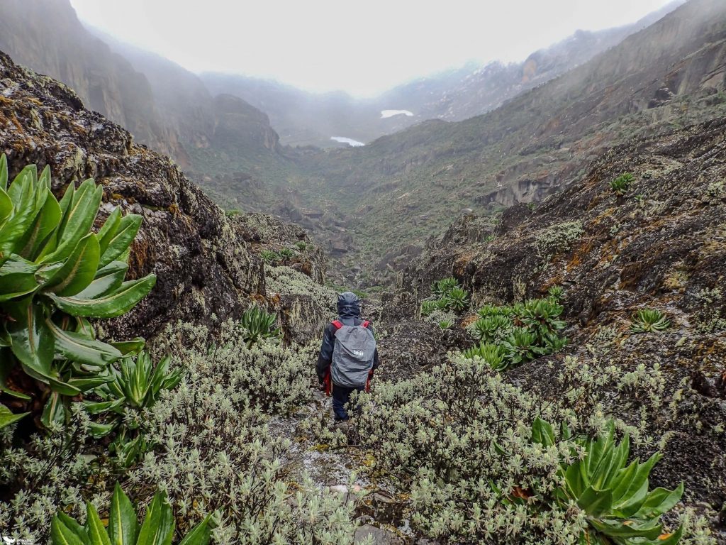 Rwenzori Trekking Equatorial Snow -Day 4