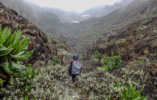 Rwenzori Trekking Equatorial Snow -Day 4