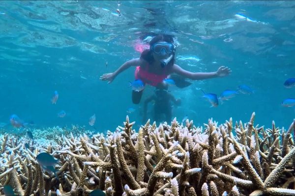 Snorkeling Madagascar