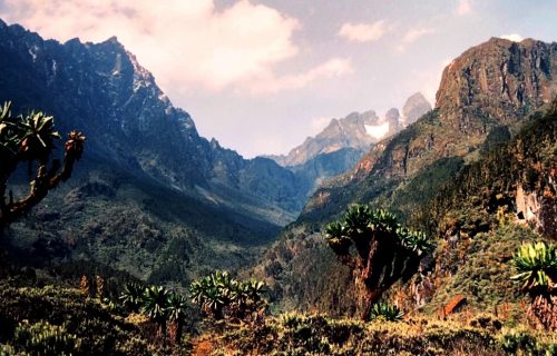 Rwenzori Trekking