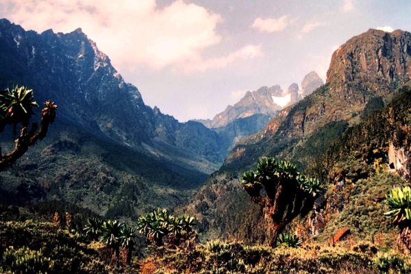 Rwenzori Trekking