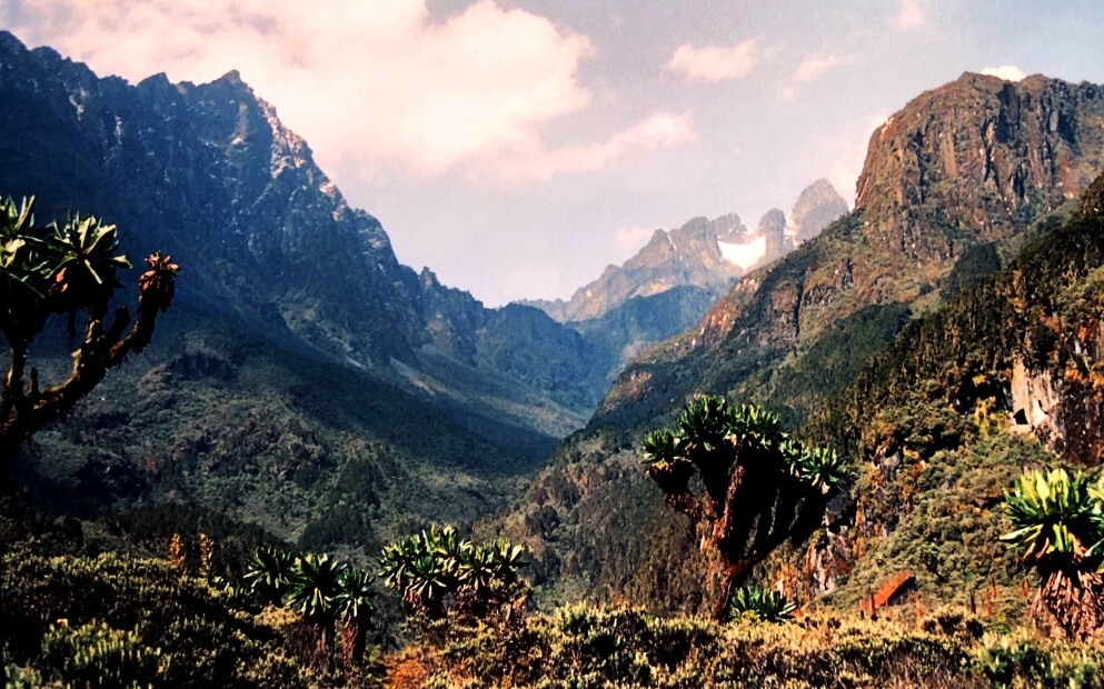 Rwenzori Trekking