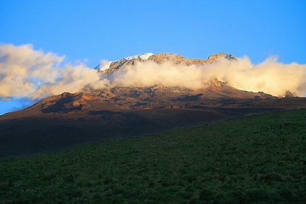 Climbing Kilimanjaro on the Shira Route