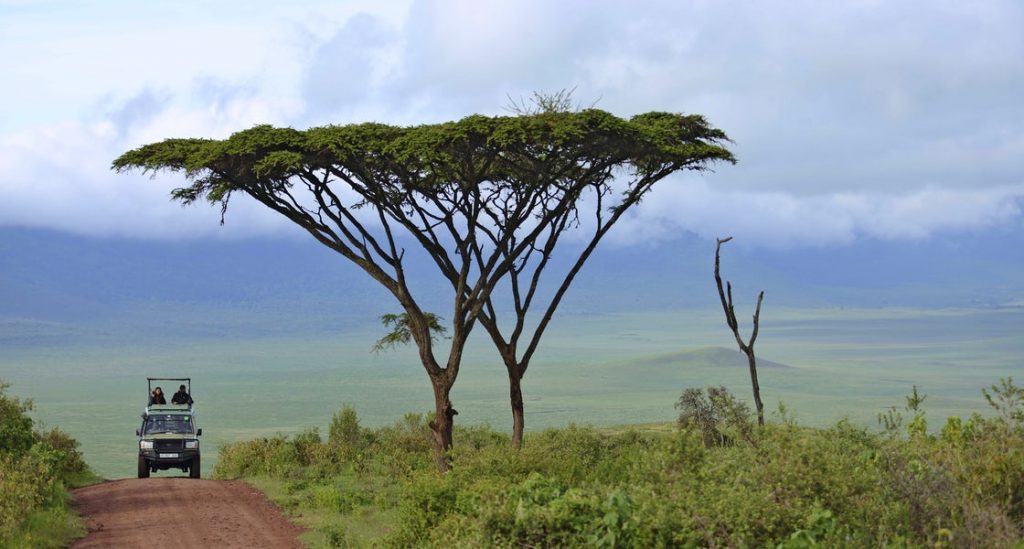 Game Drive in Ngorongoro Tanzania