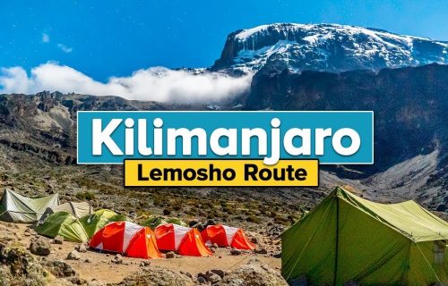 Lemosho route Kilimanjaro