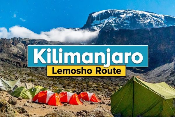 Lemosho route Kilimanjaro