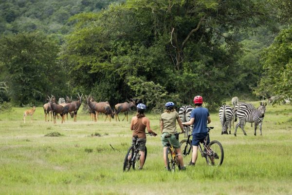 Kids Cycling in Lake Mburo National Park