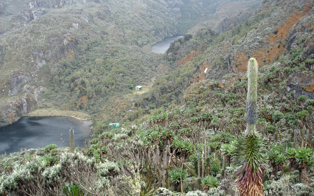 Kitandara - Rwenzori Trekking