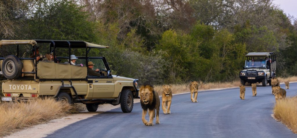 Kruger National Park