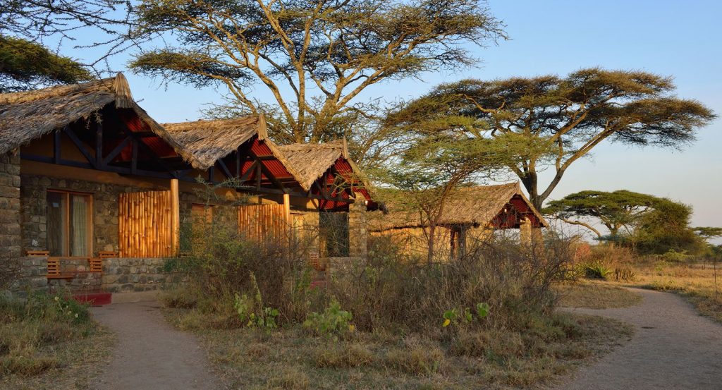 Ndutu Safari Lodge