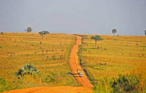 game drives in Murchison falls