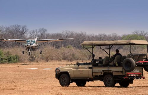 African Flying Safari