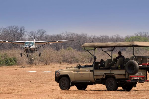 African Flying Safari