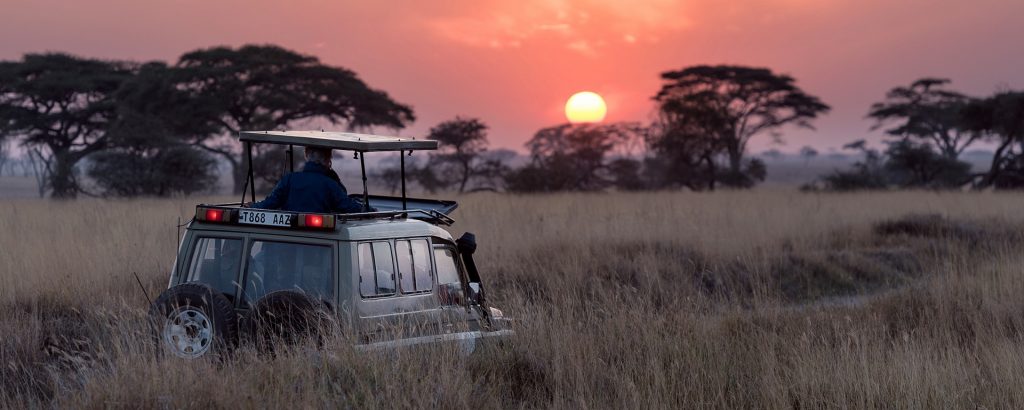 Serengeti National Park. A Safari Superstar