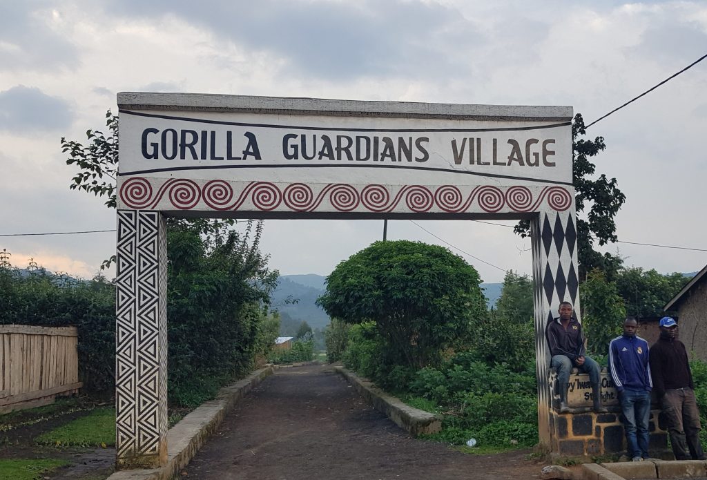 Gorilla Gradians Village Rwanda