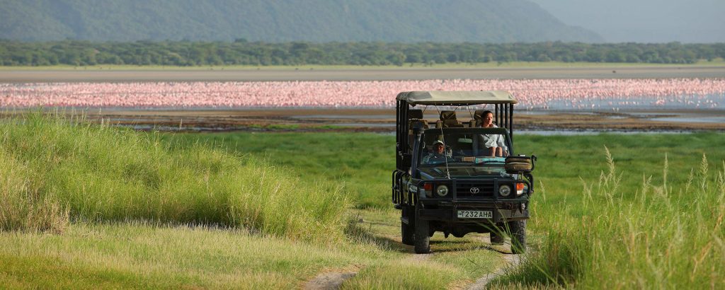 the Lake Manyara National Park known for flamingos