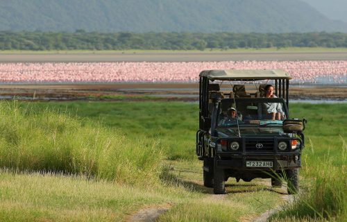 the Lake Manyara National Park known for flamingos