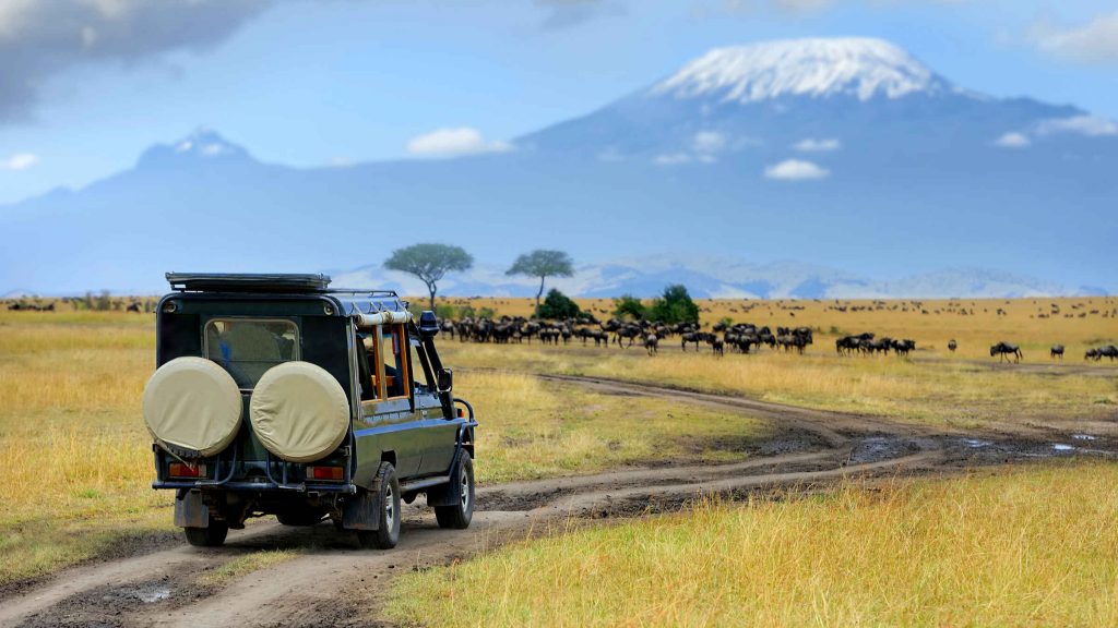 A Game Drive in Serengeti National Park