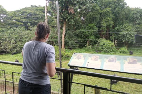Ngamba Island.