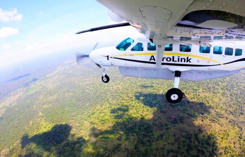 Gorilla Flying Safari