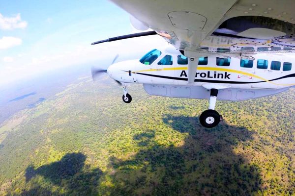 Gorilla Flying Safari