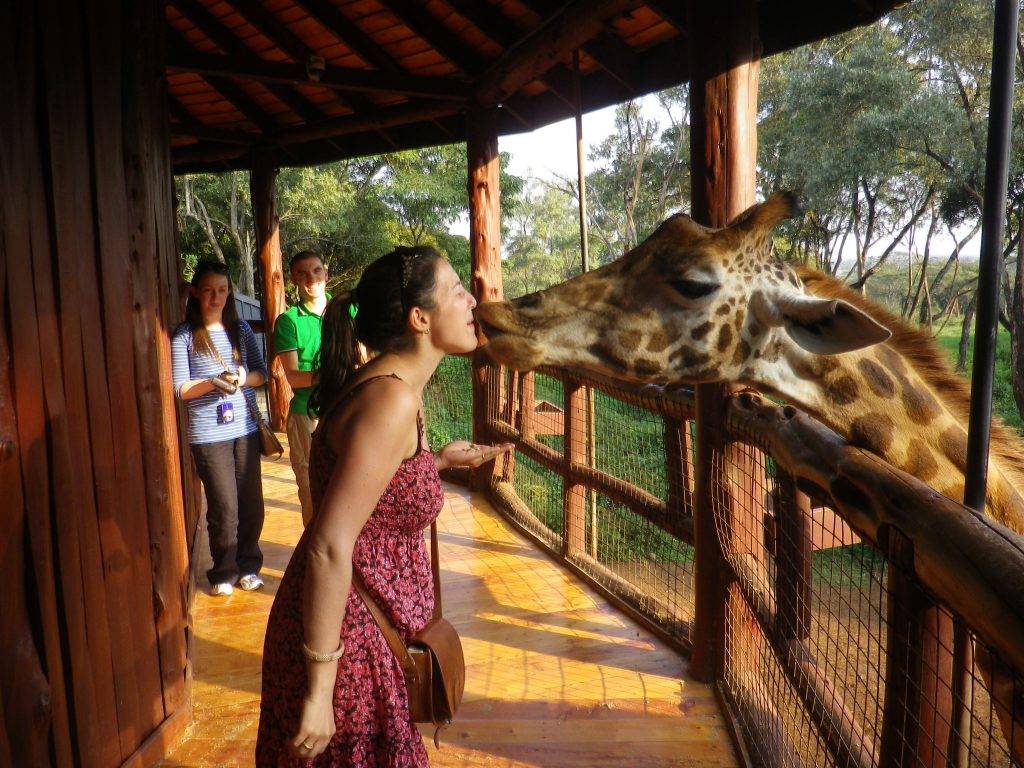 Giraffe Centre