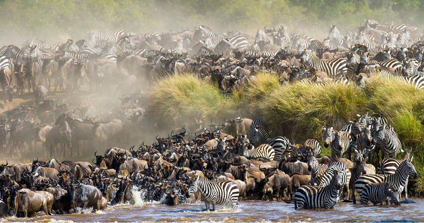 5 Days Masai Mara Migration Safari (Best in July October)