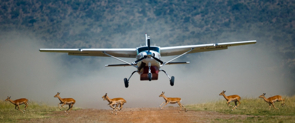 flying safari in Samburu