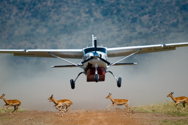 flying safari in Samburu