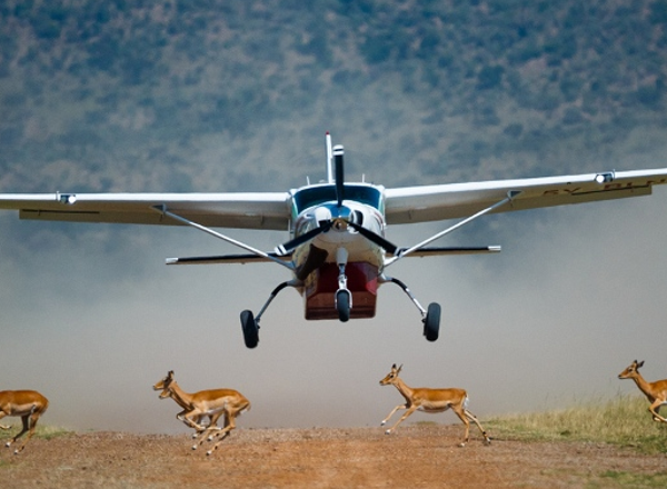 flying safari in Samburu