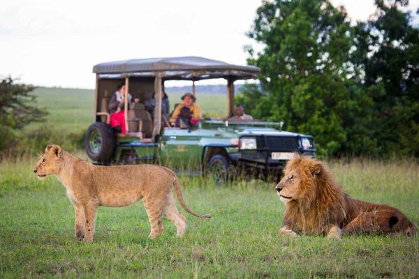 Authentic Safari Camping in Amboseli & Masai Mara