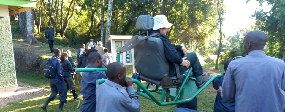 Gorilla Trekking for Seniors