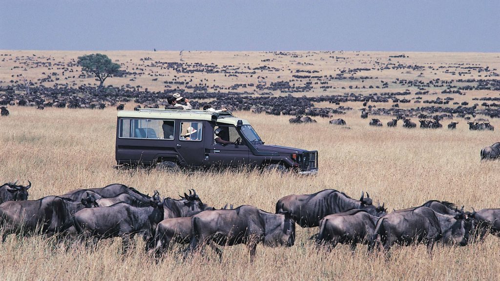 Serengeti Migration Safari