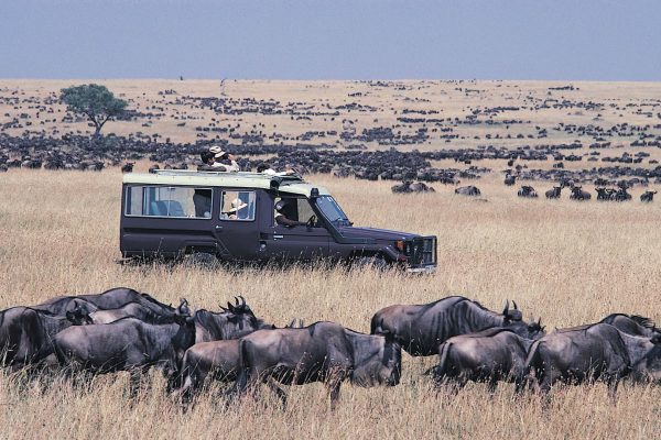 Serengeti Migration Safari