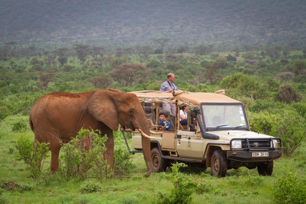 Game drive with Elephant Bedroom Camp.
