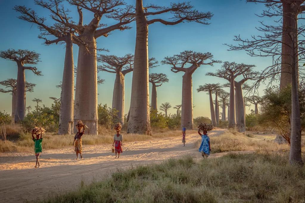 Madagascar Safest African Countries to Visit