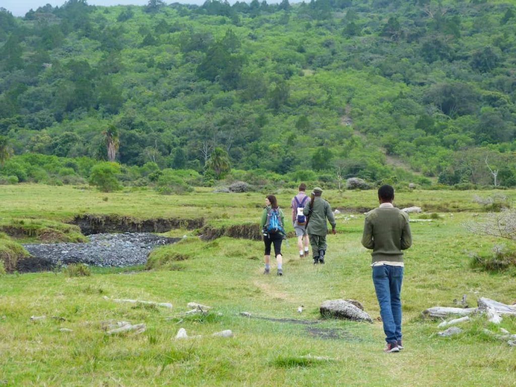 Nature Walking Safaris in Arusha National Park
