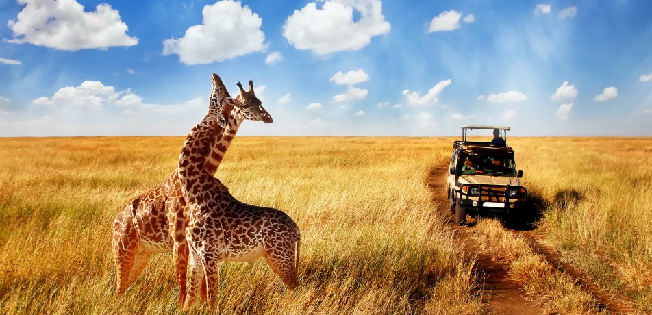 The Cost for African Safari